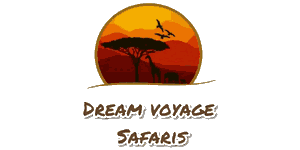 Dream Voyage Safaris logo