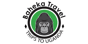 Baheka Travel logo