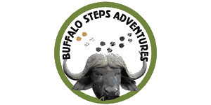 Buffalo Steps Adventures logo