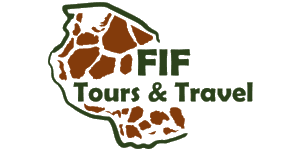 FIF (T) Tours and Travel logo