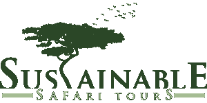 Sustainable Safari Tours logo
