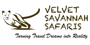 Velvet Savannah Safaris logo