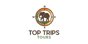 Top Trips Tours and Travel logo