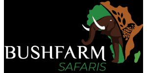 Bushfarm Safaris logo