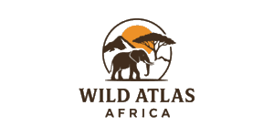 Wild Atlas Africa logo