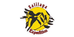 Galilaya Expedition logo