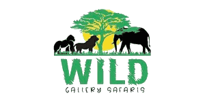 Wild Gallery Safaris logo