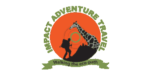Impact Adventure Travel logo