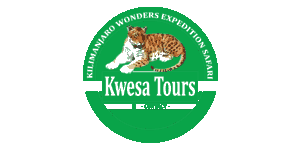 Kwesa Tours logo