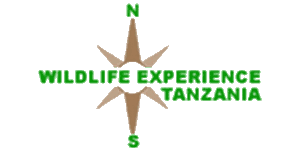 Wildlife Experience Tanzania logo