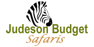 Judeson Budget Safaris logo