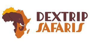 Dextrip Safaris logo