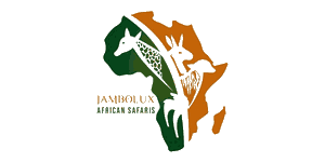 Jambolux Africa Safaris logo