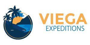 Viega Expeditions logo