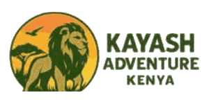 Kayash Adventure logo