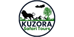 Kuzora Safari Tours