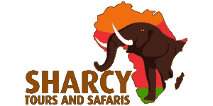 Sharcy Tours and Safaris