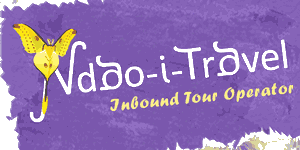 NDAO I-Travel logo
