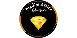Madini Africa Adventure logo