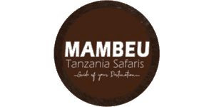 Mambeu Tanzania Safaris logo