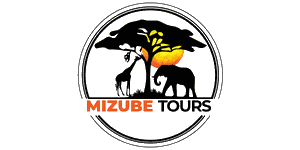Mizube Tours and Travel logo