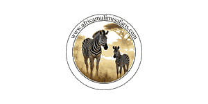 Africa Mulimi Safari Company logo