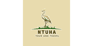 Ntuha Tour and Travel logo