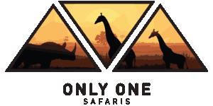 Only One Safaris logo