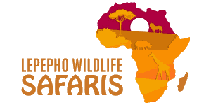 Lepepho Wildlife Safaris logo