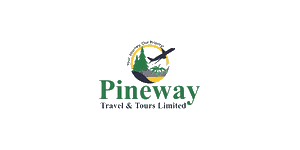 Pineway Travel and Tours logo