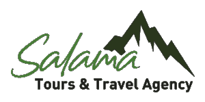 Salamatours and Travels Agency logo