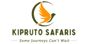 Kipruto Safaris logo
