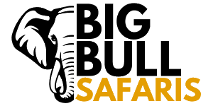 Big Bull Safaris logo