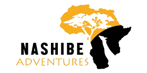 Nashibe Adventures logo
