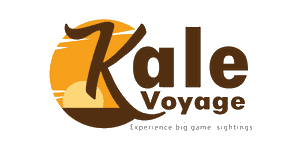 Kale Voyage Expedition logo