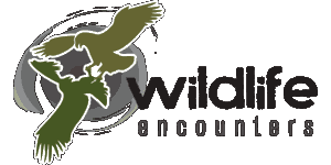 Wildlife Encounters logo