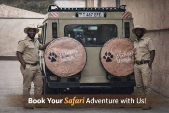 Serengeti Landmark Tours