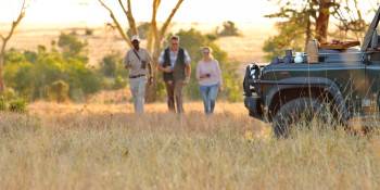 African Vulture Safaris