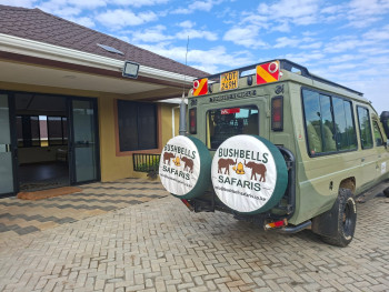 Bushbells Safaris