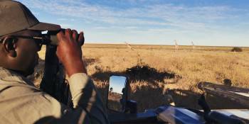 African Big Five Tours and Safaris