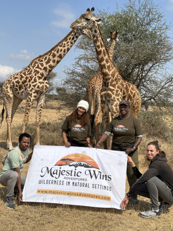Majestic Wins Adventures