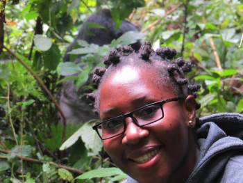 Gorilla Link Tours