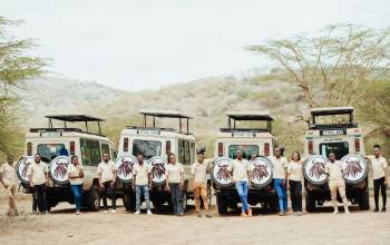 Wildebeest Footsteps Adventures