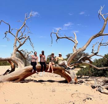 Great Explorations Namibia