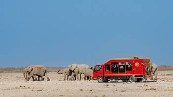 Sunway Safaris