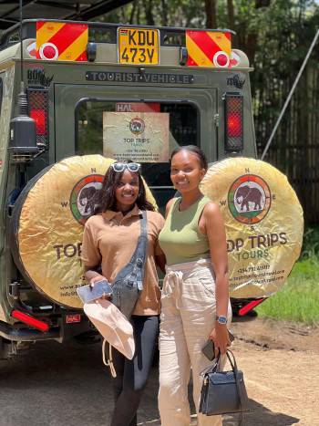 Top Trips Tours and Travel