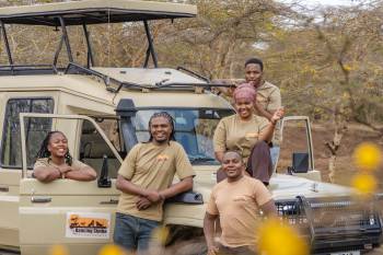 Dancing Simba Safaris