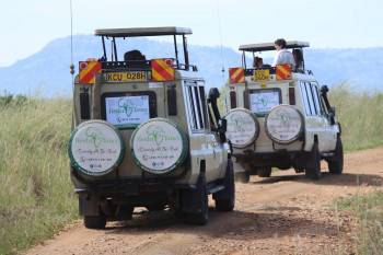 Keshi Tours