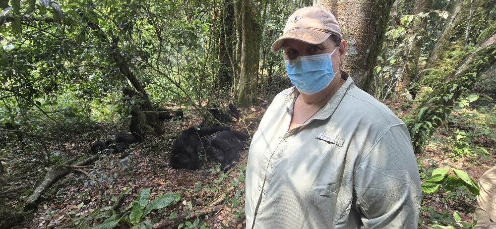 Chimp trek