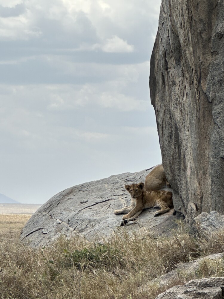 Photo by Georgia